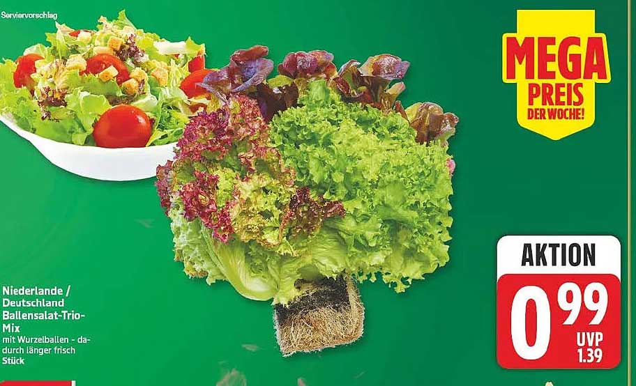 Niederlande / Deutschland Ballensalat-Trio-Mix mit Wurzelballen - dadurch länger frisch Stück