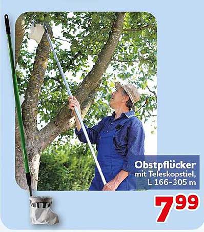 Obstpflücker mit Teleskopstiel, L 166-305 m