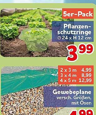 Pflanzenschutzringe Ø 24 x H 12 cm