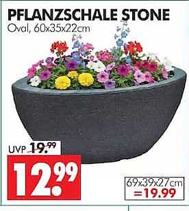PFLANZSCHALE STONE