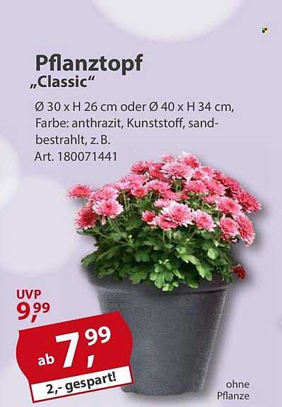 Pflanztopf „Classic“