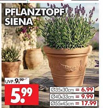 PFLANZTOPF SIENA