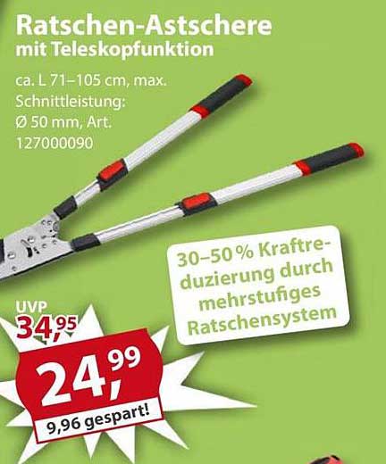 Ratschen-Astschere mit Teleskopfunktion