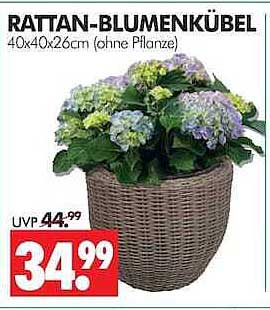 RATTAN-BLUMENKÜBEL
