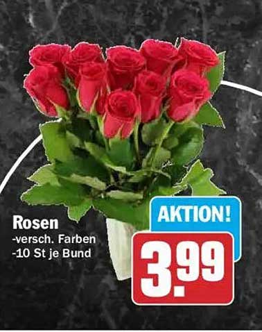 Rosen -versch. Farben -10 St je Bund