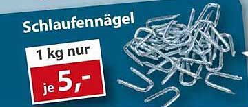 Schlaufennägel