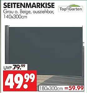 SEITENMARKISE Grau o. beige, ausziehbar, 140x300cm