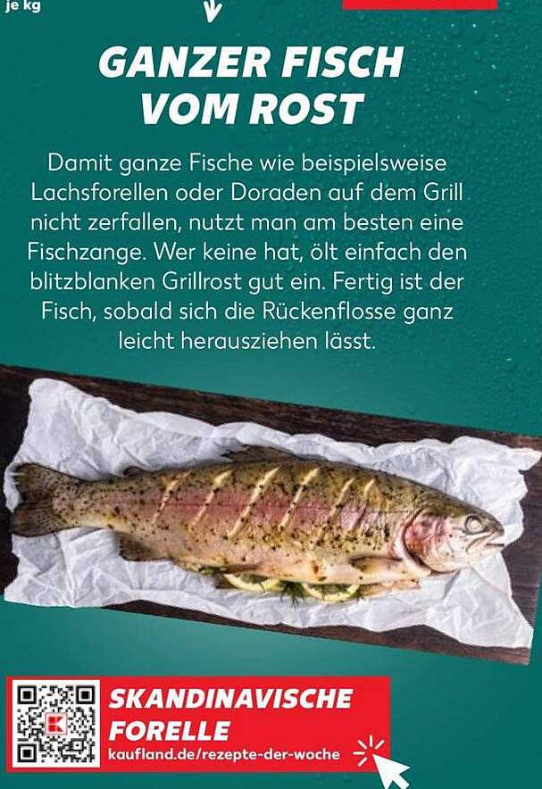 SKANDINAVISCHE FORELLE