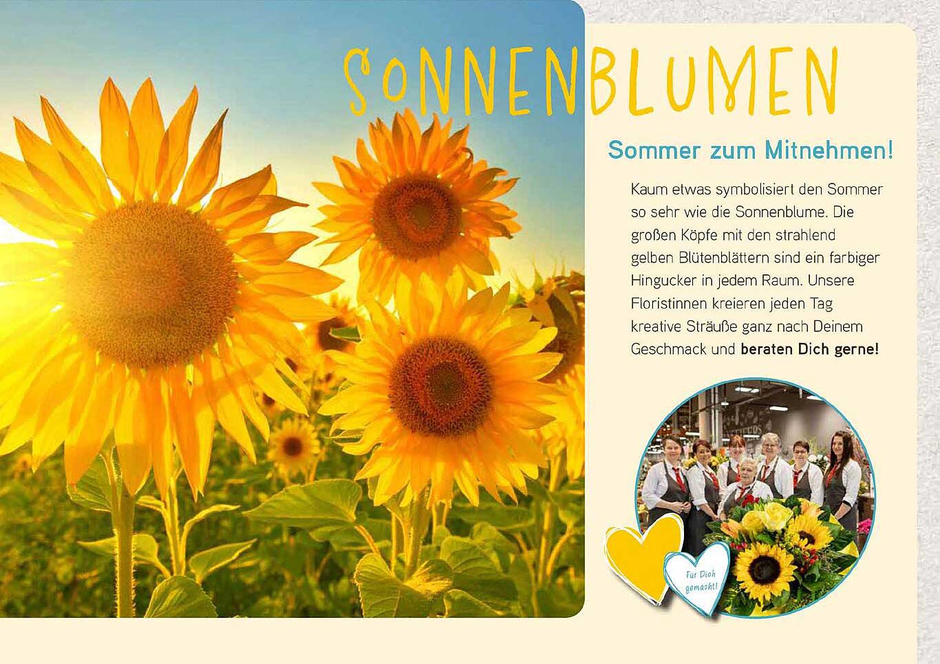SONNENBLUMEN
