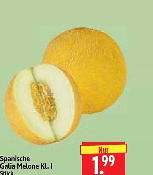 Spanische Galia Melone Kl. I