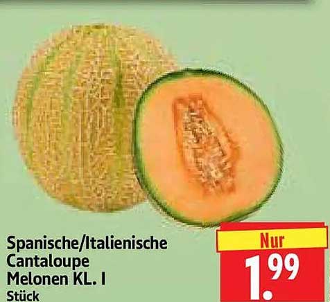 Spanische/Italienische Cantaloupe Melonen KL. I Stück