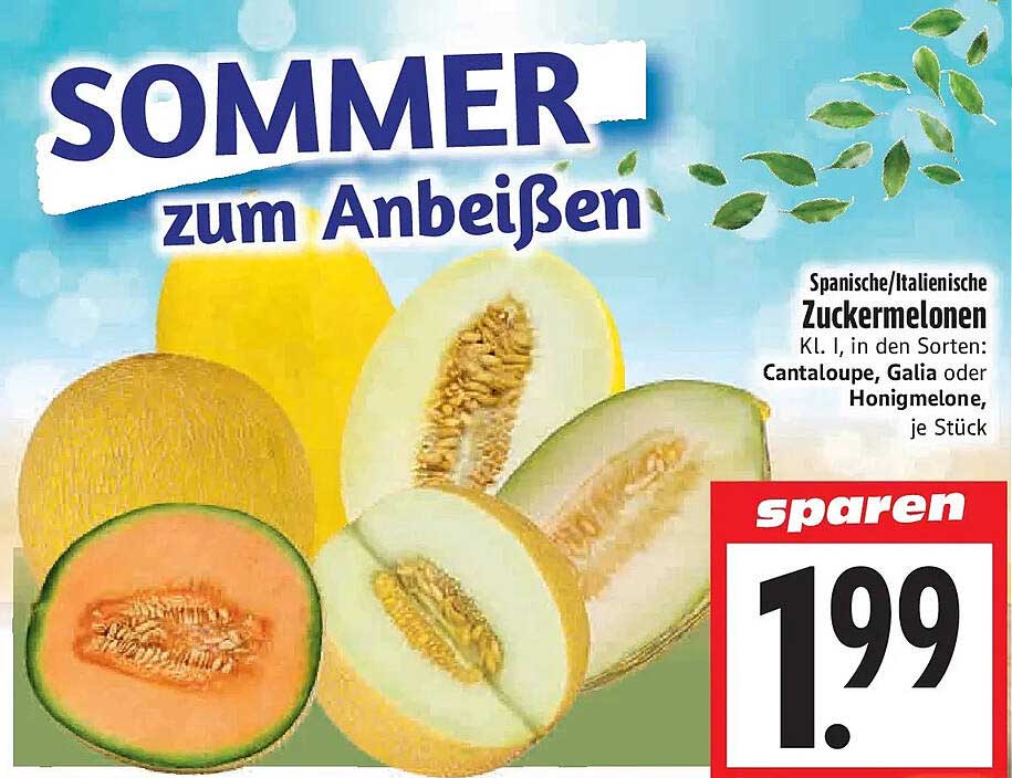 Spanische/Italienische Zuckermelonen Kl. I, in den Sorten: Cantaloupe, Galia oder Honigmelone, je Stück