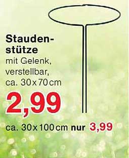 Stauden-stütze mit Gelenk, verstellbar, ca. 30 x 70 cm