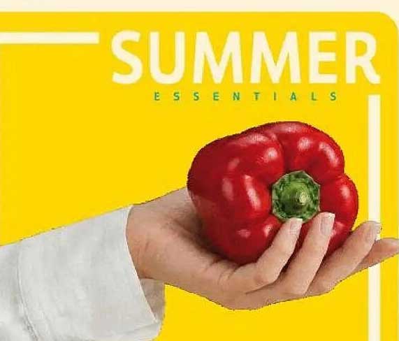 SUMMER ESSENTIALS