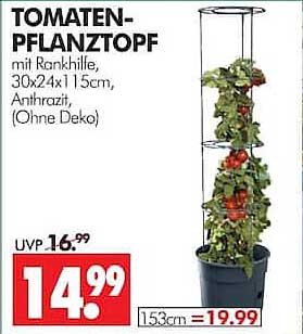 TOMATEN-PFLANZTOPF mit Rankhilfe, 30x24x115cm, Anthrazit (Ohne Deko)