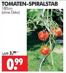 TOMATEN-SPIRALSTAB