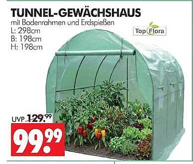 TUNNEL-GEWÄCHSHAUS mit Bodenrahmen und Erdspeiben