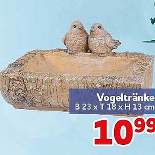 Vogeltränke