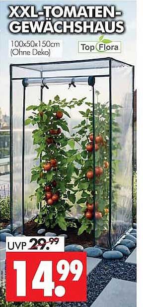 XXL-TOMATEN-GEWÄCHSHAUS