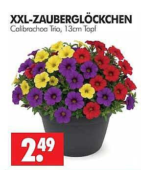 XXL-ZAUBERGLOCKCHEN