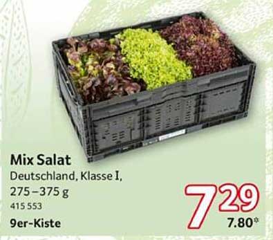 Mix Salat Deutschland, Klasse I, 275–375 g, 9er-Kiste
