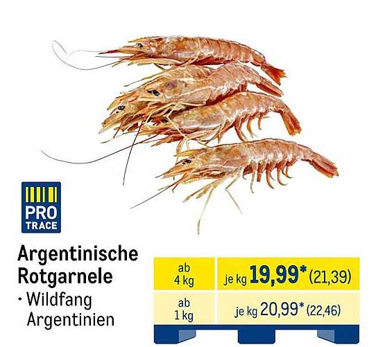 Argentinische Rotgarnele - Wildfang aus Argentinien
