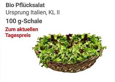Bio Pflücksalat - Ursprung Italien, KL II