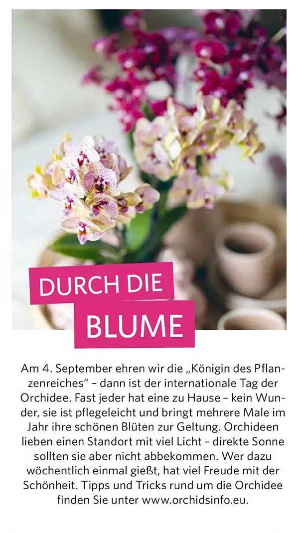 Durch die Blume - Internationale Tag der Orchidee
