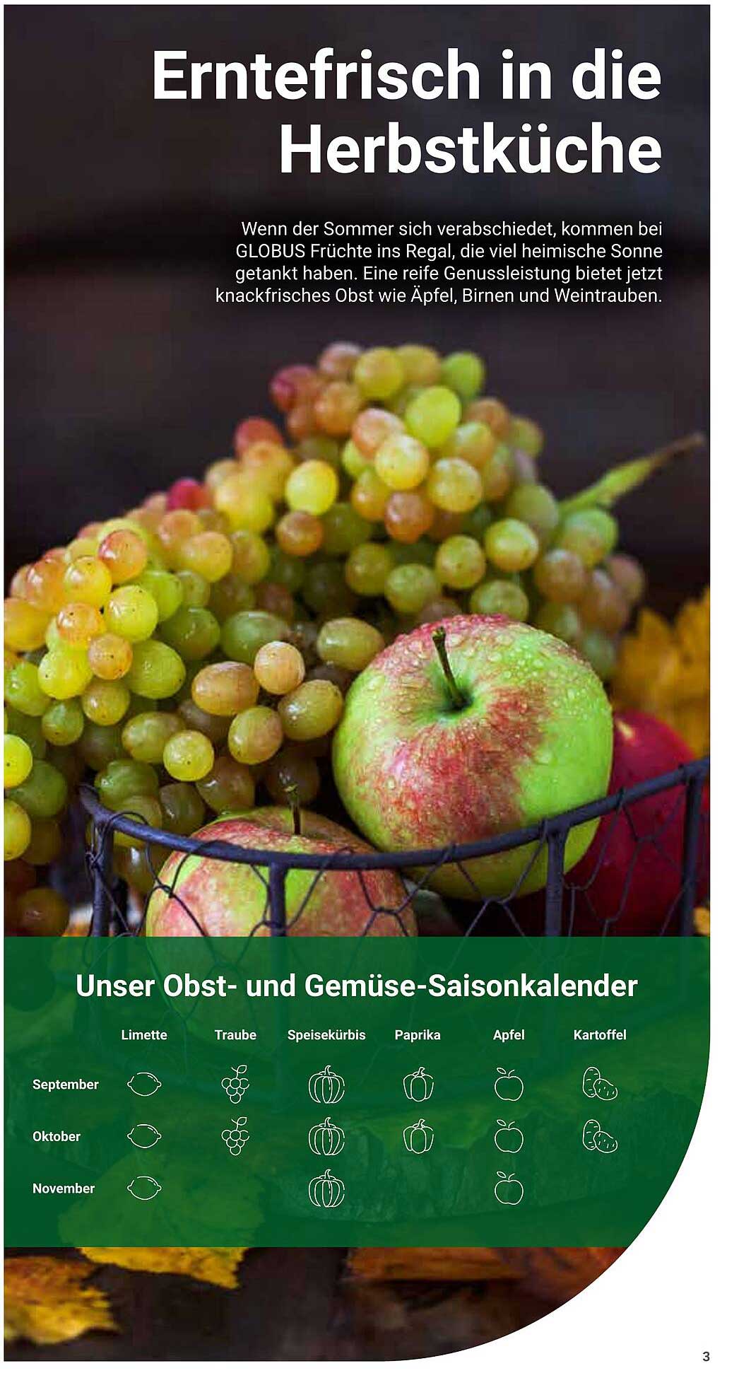 Erntefrisch in die Herbstküche - Äpfel, Birnen und Weintrauben
