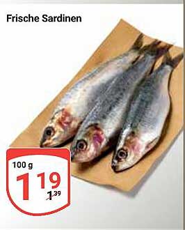 Frische Sardinen
