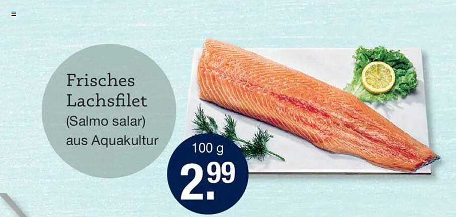 Frisches Lachsfilet (Salmo salar) aus Aquakultur