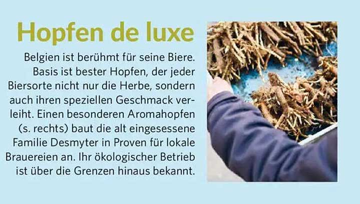 Hopfen de luxe