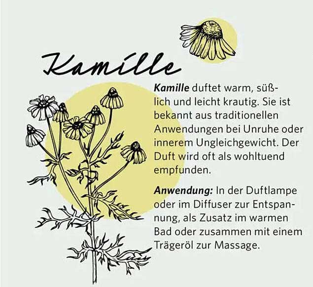 Kamille – Wohlfühl-Duft für entspannende Momente