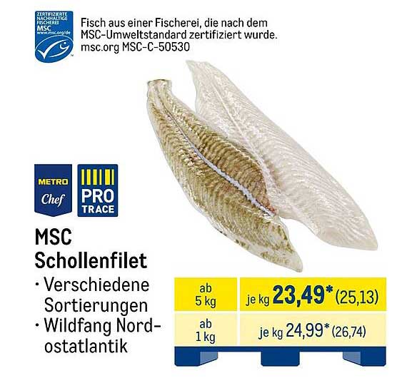 MSC Schollenfilet - Verschiedene Sortierungen, Wildfang Nordostatlantik