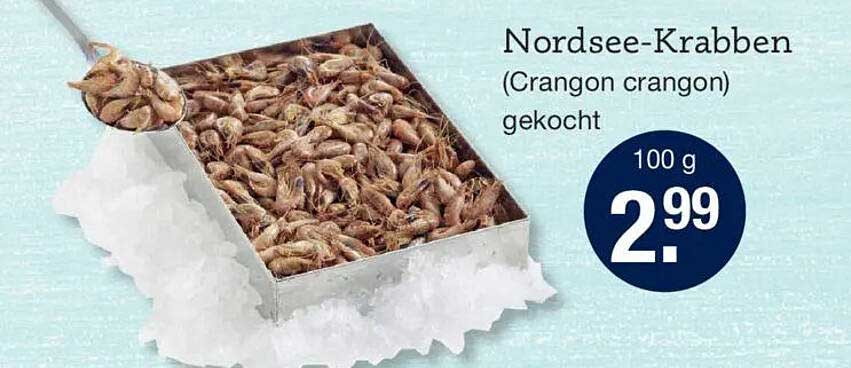 Nordsee-Kraben (Crangon crangon) gekocht