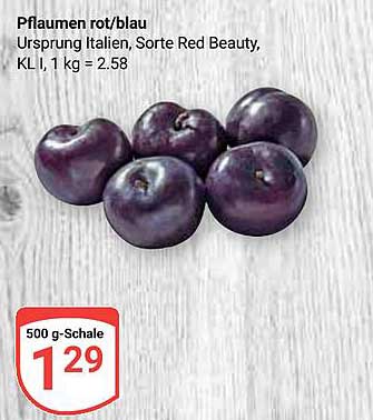 Pflaumen rot/blau - Sorte Red Beauty, 500 g