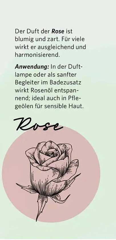 Rose Duftkerze - Entspannung für die Sinne