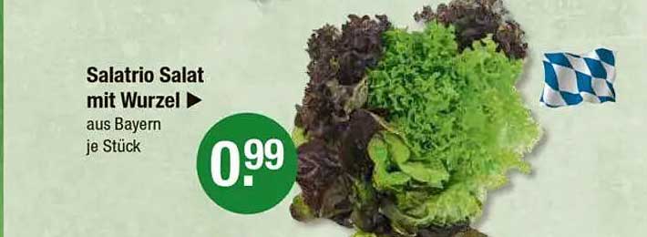 Salatrio Salat mit Wurzel aus Bayern je Stück