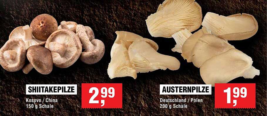 Shiitake- und Austernpilze