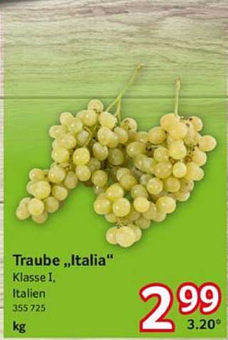Traube „Italia“ Klasse I, Italien