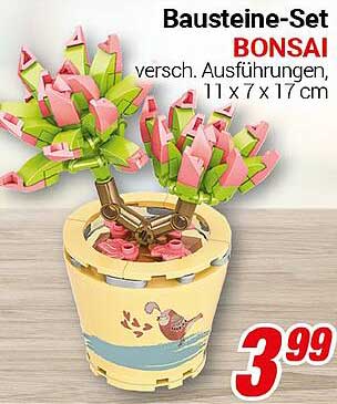 Bausteine-Set BONSAI