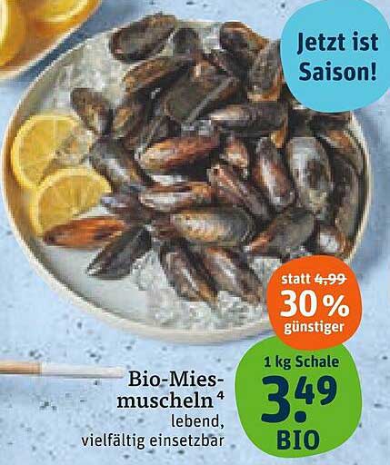 Bio-Miesmuscheln - lebendig und vielfältig einsetzbar