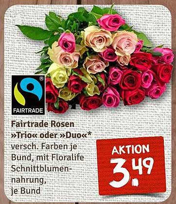 Fairtrade Rosen »Trio« oder »Duo«
