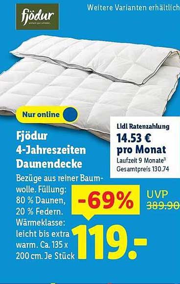 Fjödur 4-Jahreszeiten Daunendecke