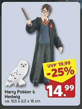 Harry Potter & Hedwig Figurenset