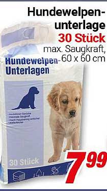 Hundeunterlagen - 30 Stück