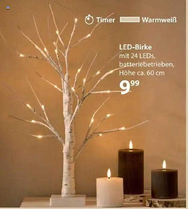 LED-Birke mit 24 LEDs, batteriebetrieben, Höhe ca. 60 cm