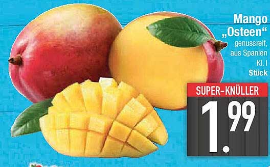 Mango "Osteen" genussreif aus Spanien - K.L. 1 Stück