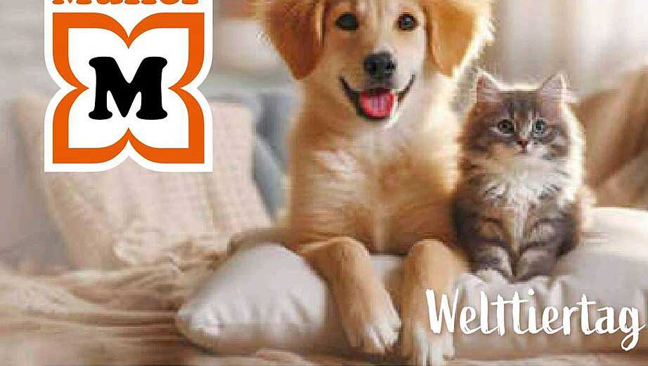 Müller Weltier-Tag Angebote - Für Tierliebhaber