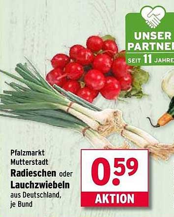 Radieschen oder Lauchzwiebeln aus Deutschland, je Bund